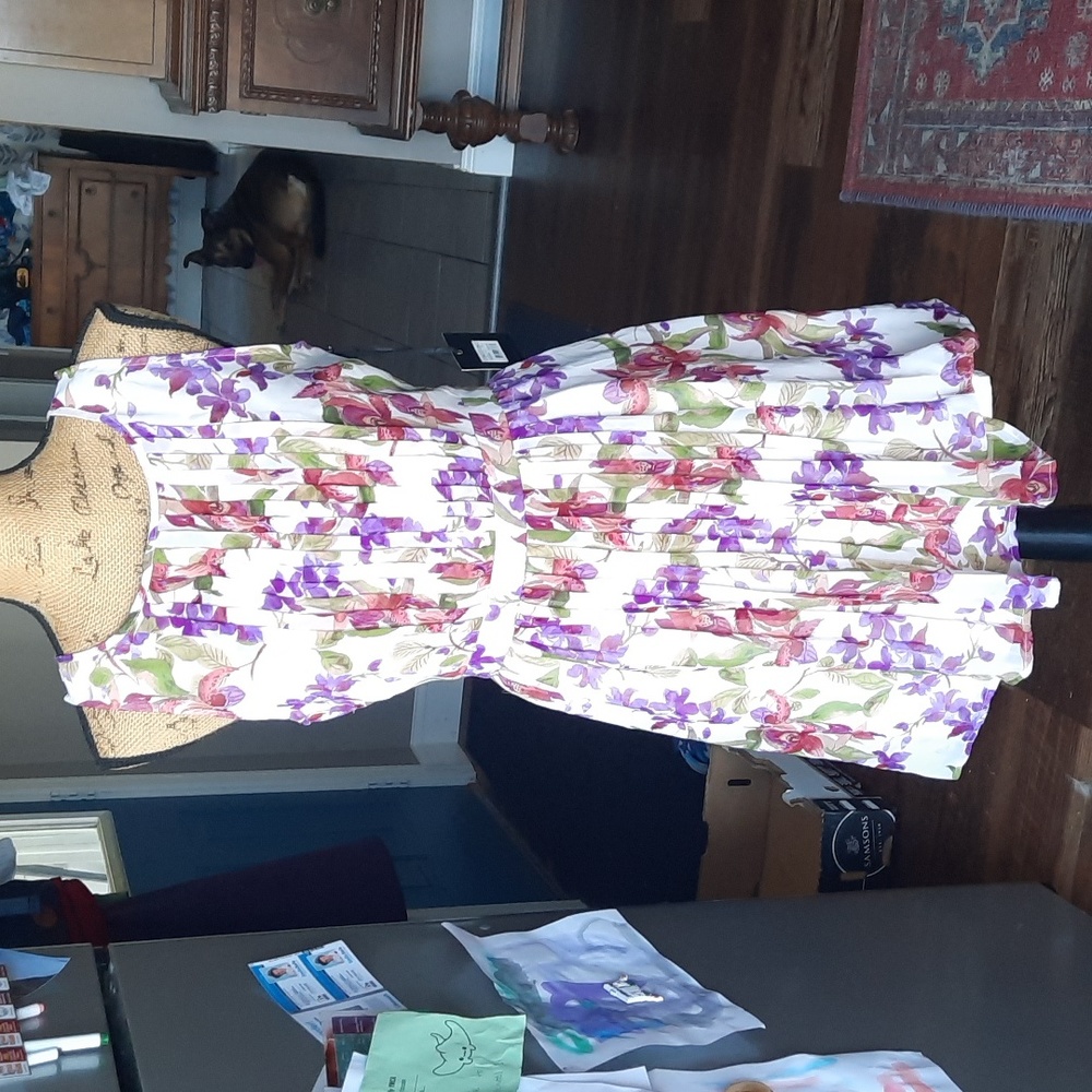 NWT Ladyslipper Anthro-BB Dakota lady slipper dress
